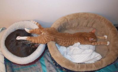 2_1232800157.jpg